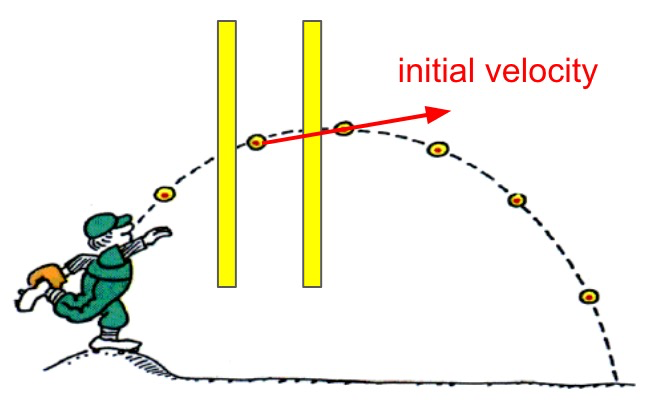 Application Section Image